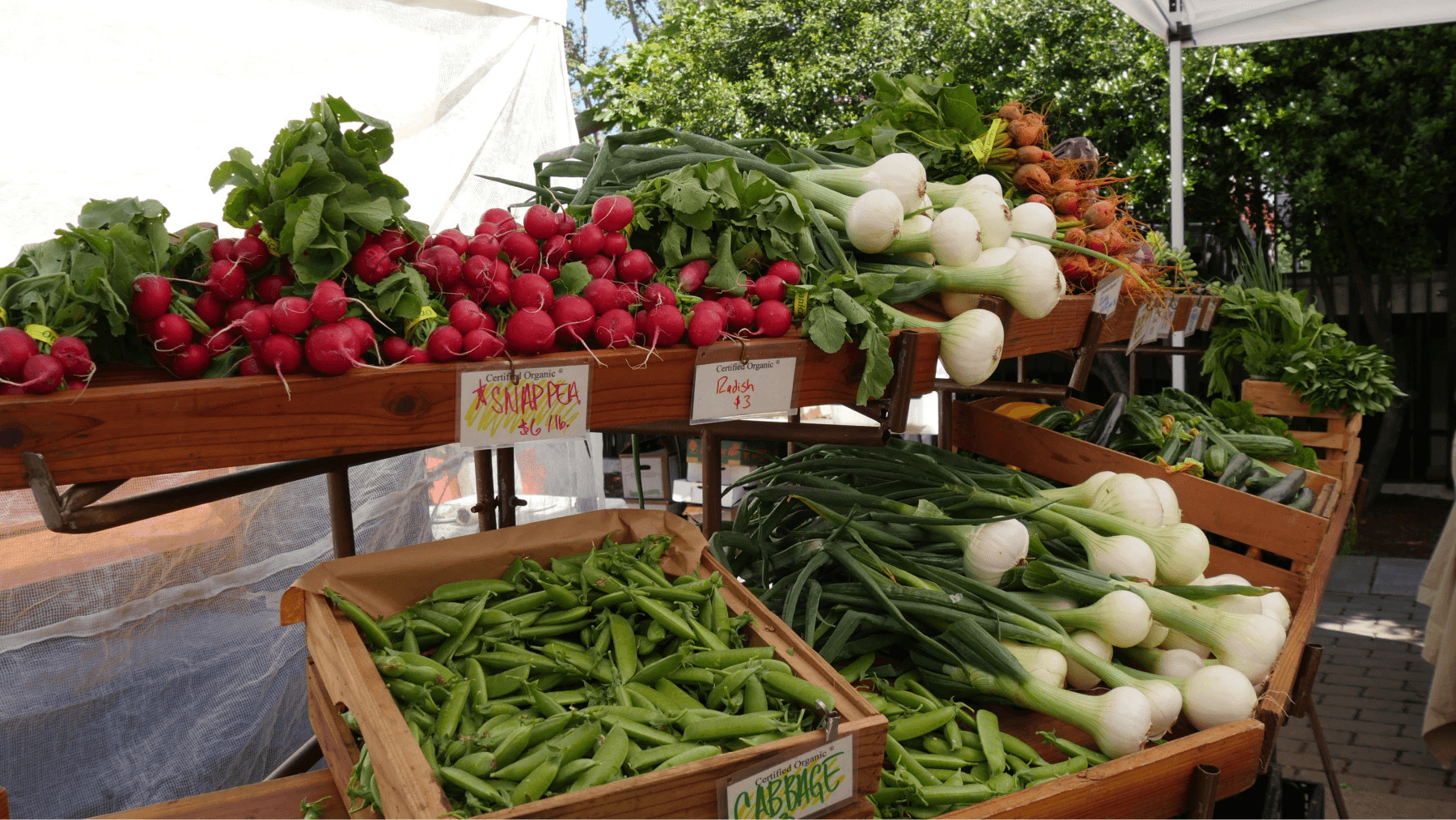 veggies at the Farmer's Market